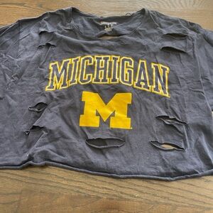 Champion Navy Michigan Wolverines Cropped T-shirt